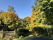 11th Oct 2022 - Fall Colors