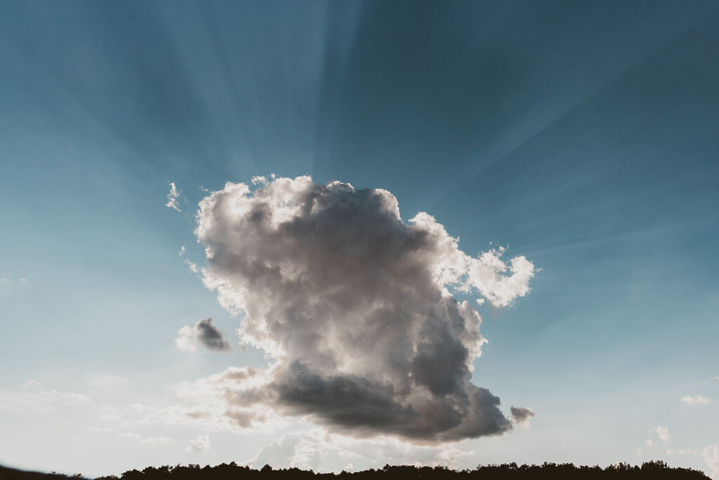 One cool cloud by mistyhammond