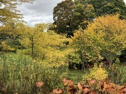 11th Oct 2022 - Autumn at Hergest Croft Gardens