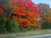 10th Oct 2022 - The colors further north were stunning