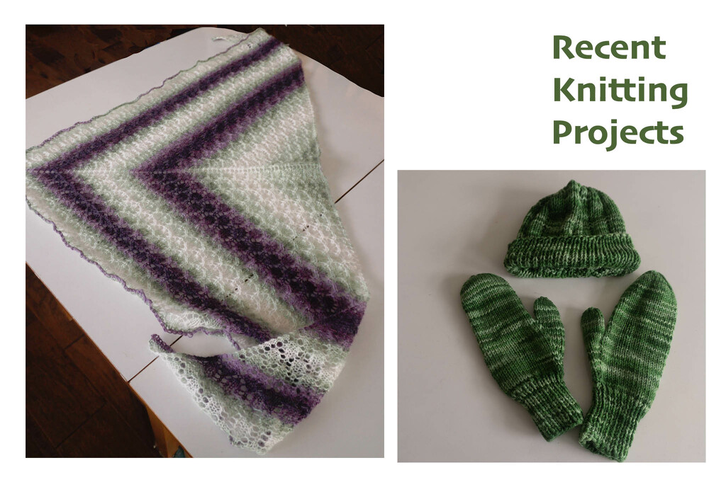 Recent Knitting Projects by randystreat