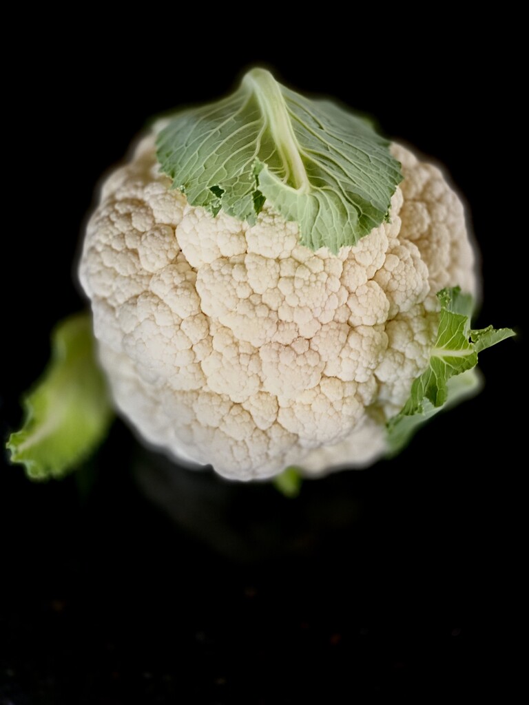 Our Cauliflower by maggiemae