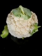 12th Oct 2022 - Our Cauliflower