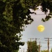 The Moon Is Magic by gardenfolk