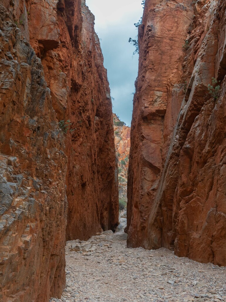 West MacDonnell Ranges-Standley Chasm by gosia