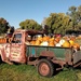 Morrison Pumpkin Farm by revken70