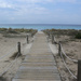 Beach Boardwalk  by serendypyty