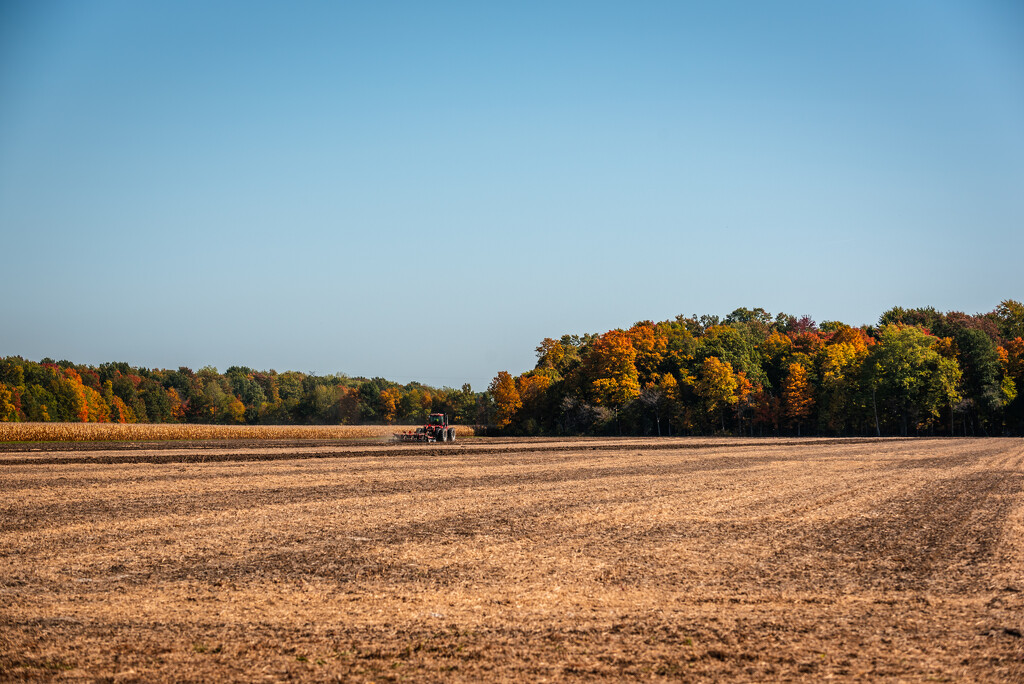 autumn, Michigan 1 by jackies365