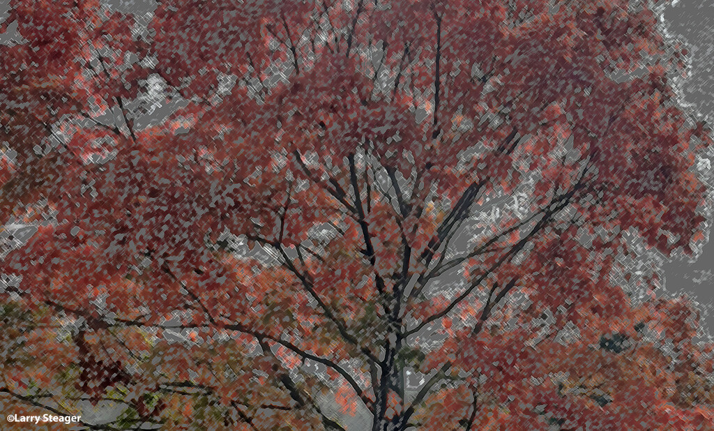 Fall art by larrysphotos
