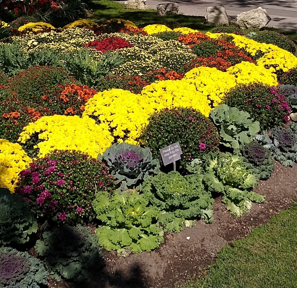 A visit to Toronto's Edwards Gardens  by bruni