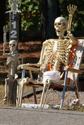 12th Oct 2022 - Campground Greeters