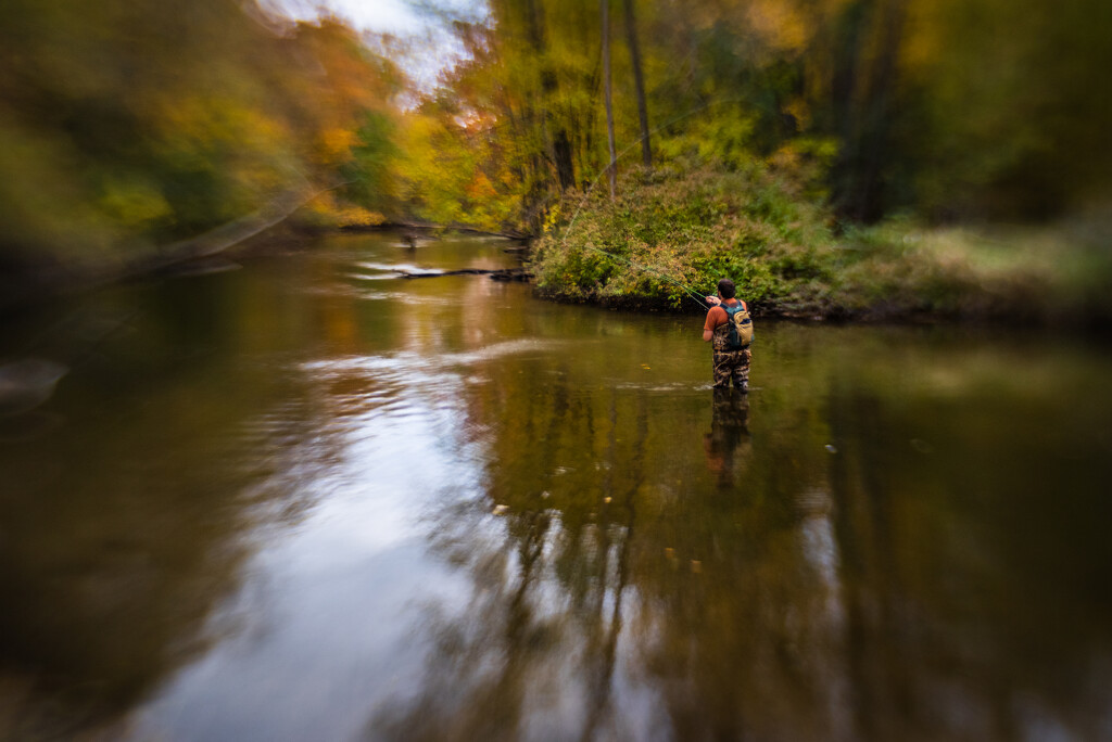 fly fishing, autumn, michigan by jackies365