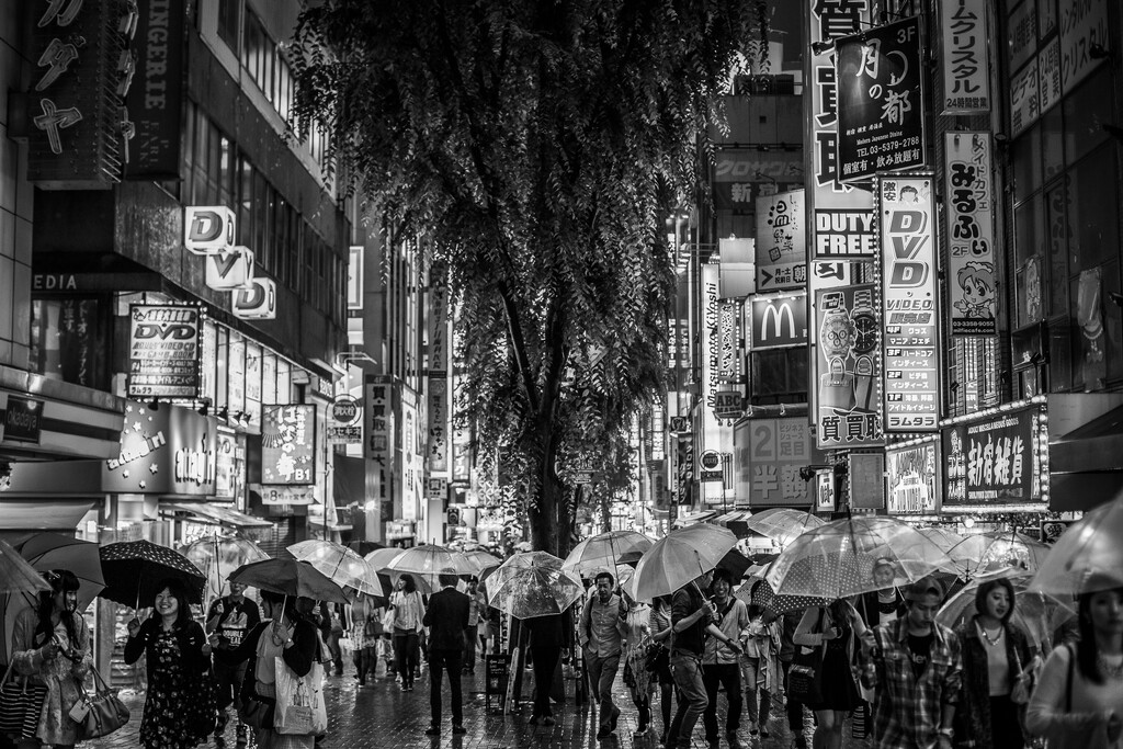 Rain in Tokyo: The Umbrellas by jyokota