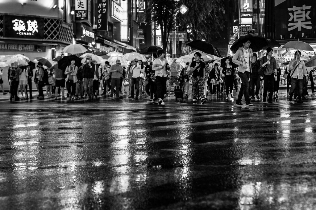 Rain in Tokyo: At the Crossing by jyokota