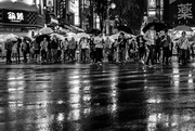 3rd Oct 2022 - Rain in Tokyo: At the Crossing