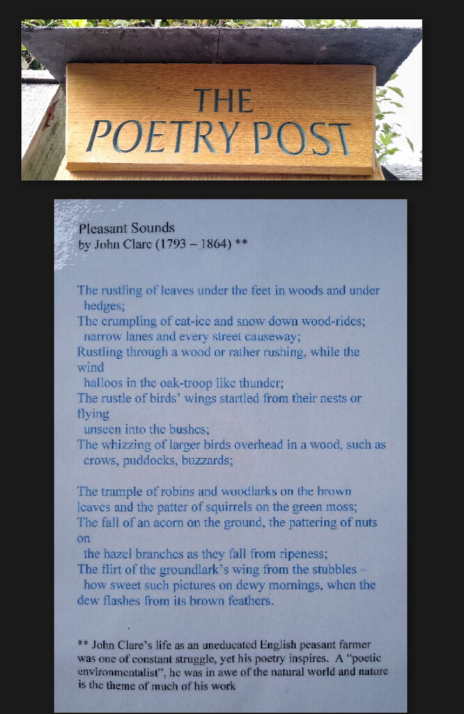 Is it poetry if it's not in Rhyme?? by 30pics4jackiesdiamond