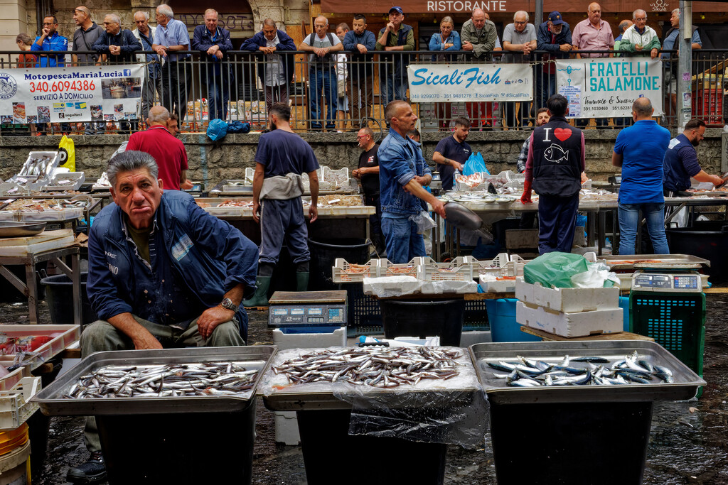 1012 - Catania Fish Market by bob65
