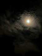 12th Oct 2022 - Moonbow