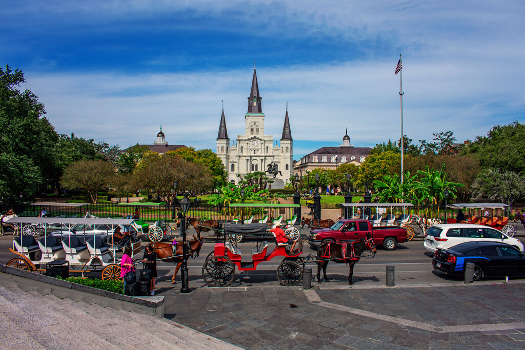 St Louis Cathedral by 365projectorgchristine