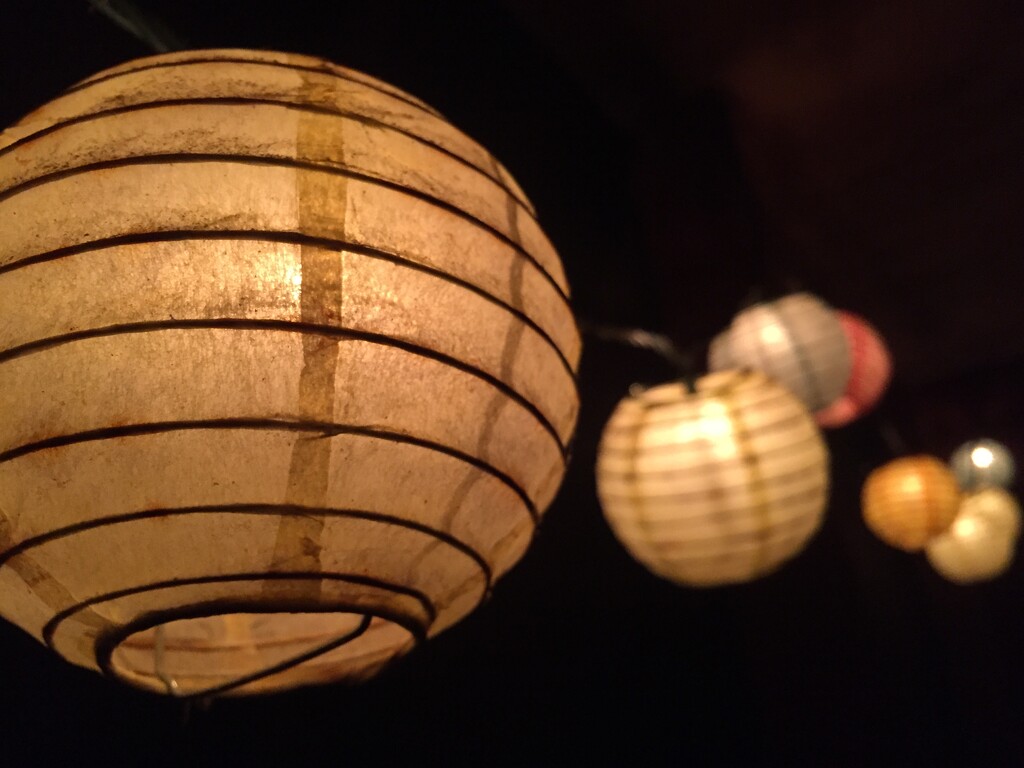 Paper lantern twinkly lights by margonaut