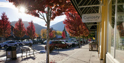 13th Oct 2022 - Downtown on a beautiful autumn day