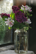 14th Oct 2022 - lilacs and apple blossom