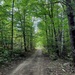 Road Allowance by sunnygreenwood