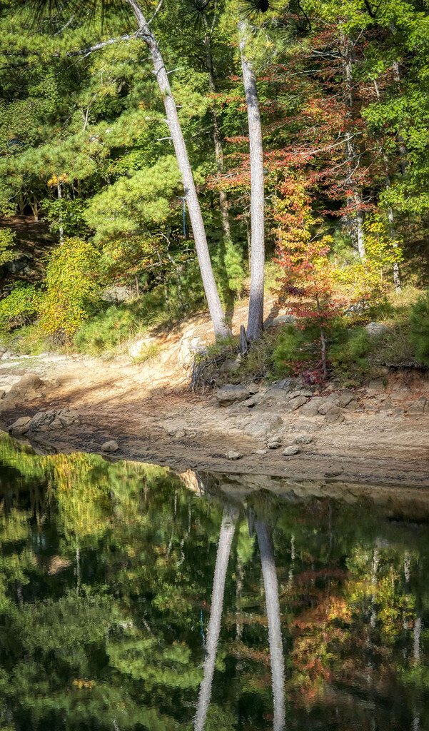 Lakeshore Reflections by kvphoto