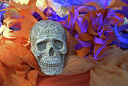 13th Oct 2022 - Still Life with Skull and Paper Sculptures 