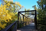 13th Oct 2022 - Laporte Poudre River Trail Bridge in Autumn