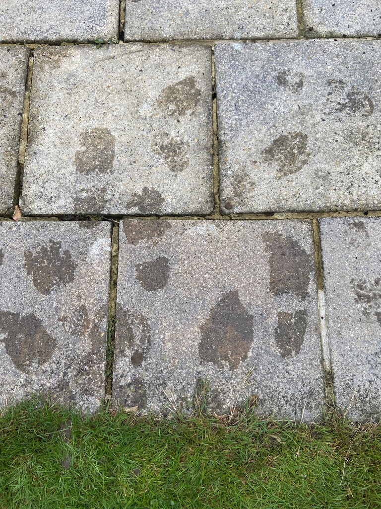 Footprints by hoopydoo