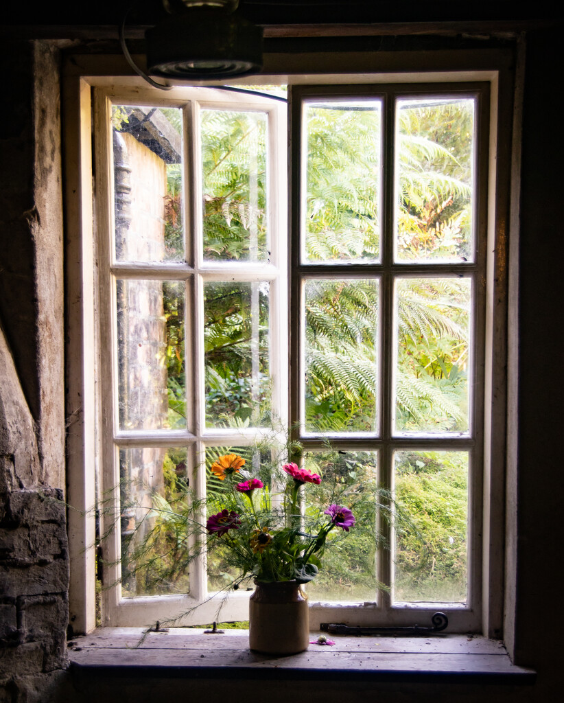 Window by swillinbillyflynn