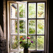 Window by swillinbillyflynn