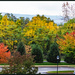 Fall Colour from our Apartment by hjbenson