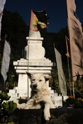 14th Oct 2022 - Guardian of the stupa