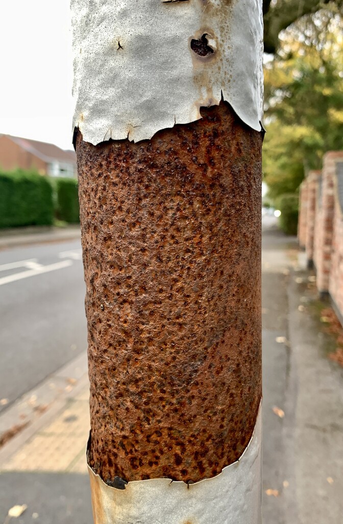 Rusty Pole by philm666