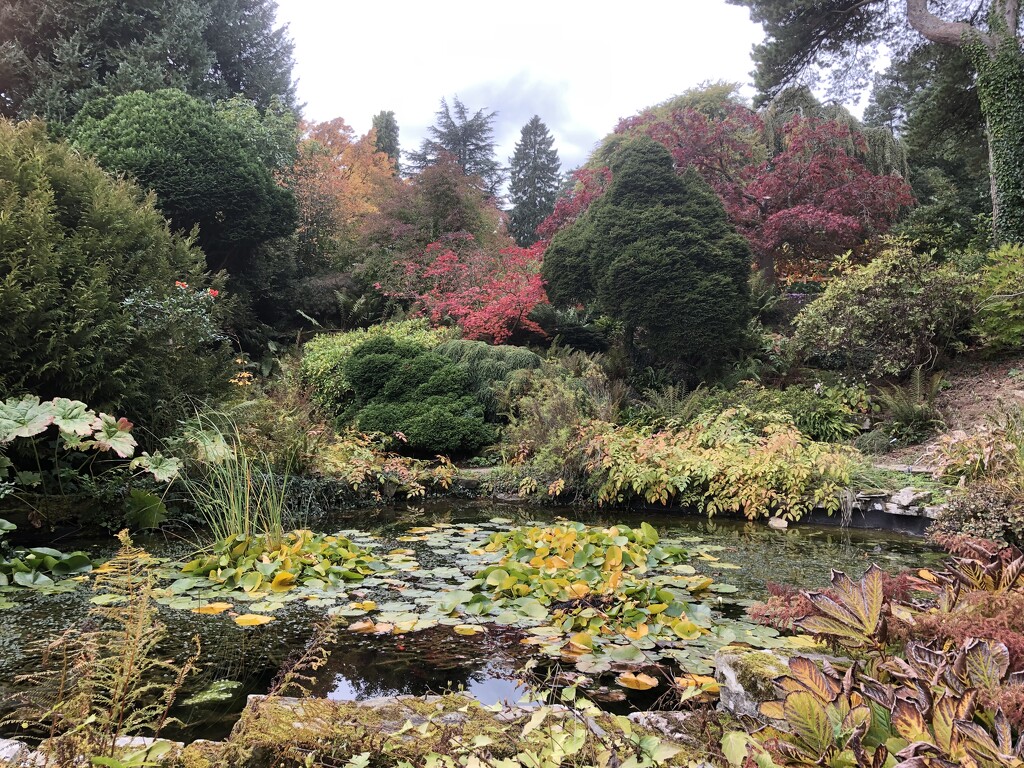 Another Autumn Capture at Hergest Croft by susiemc