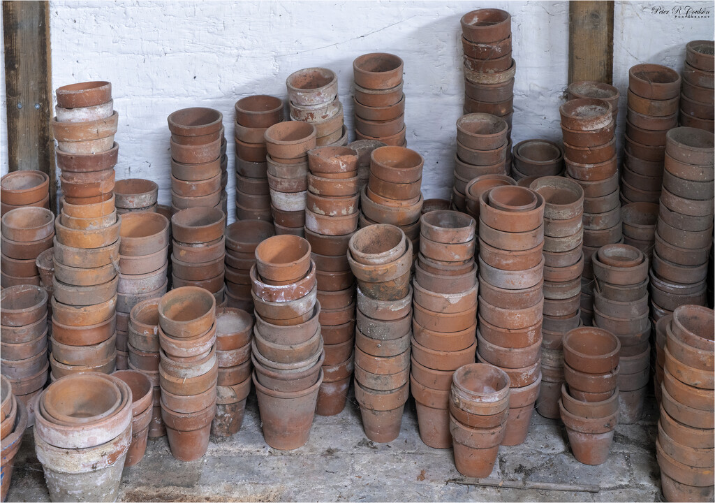 Plant Pots by pcoulson