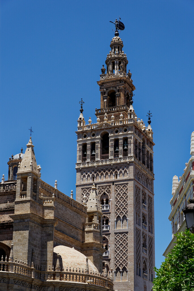 1014 - Seville Cathedral by bob65