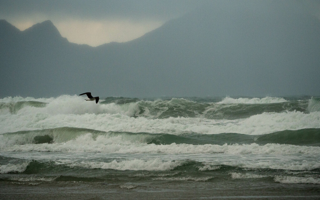 Stormy Seas by christinav