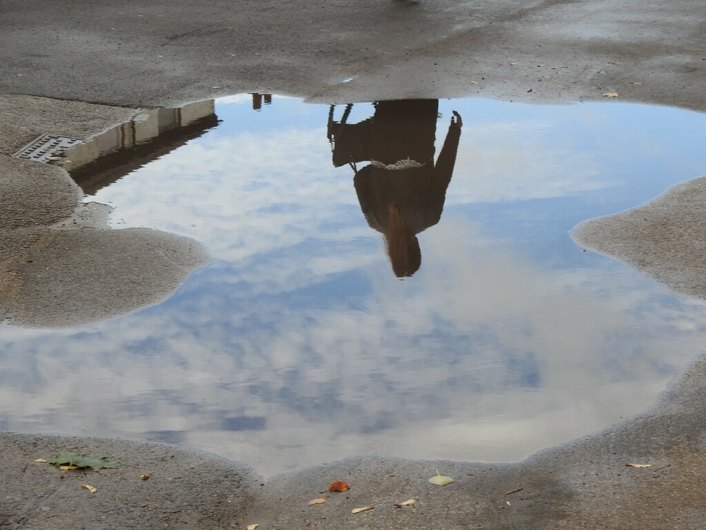 Puddle by oldjosh