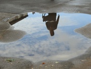 5th Oct 2022 - Puddle