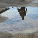 Puddle by oldjosh