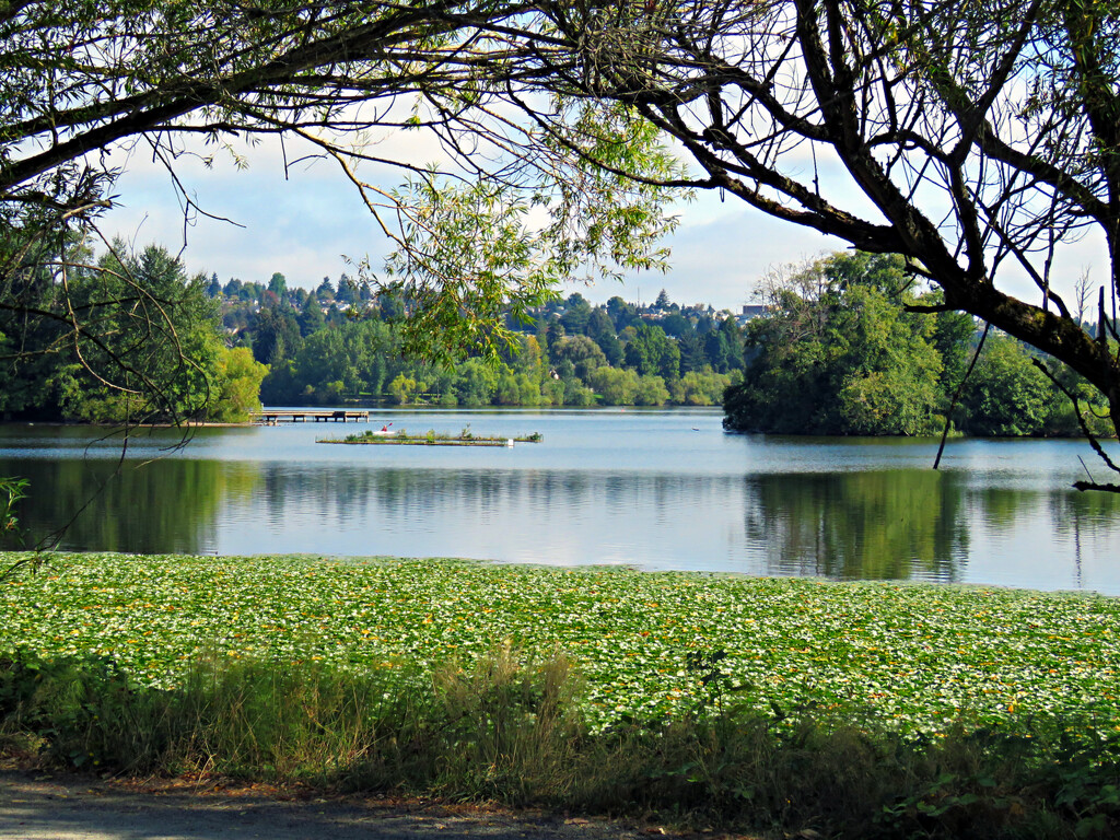 Green Lake by seattlite