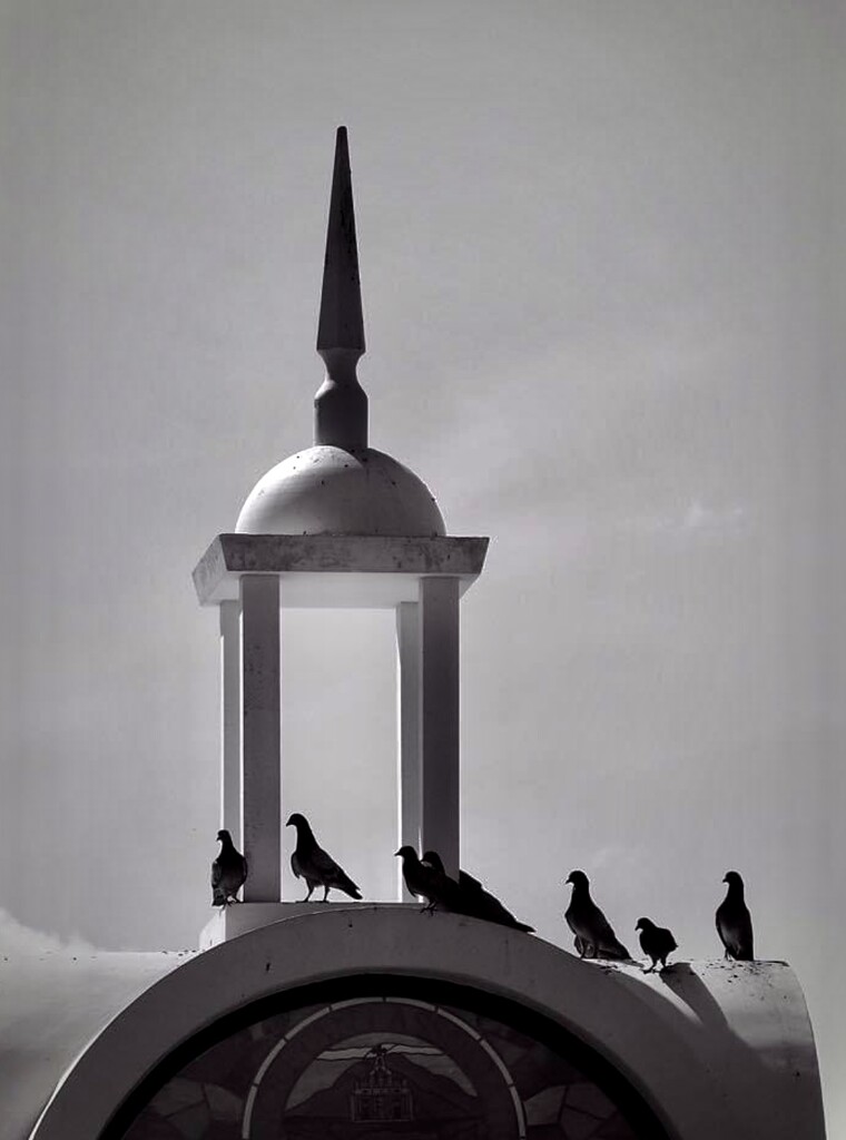 Birds on Church dome 🦅 by joemuli