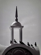 14th Oct 2022 - Birds on Church dome 🦅