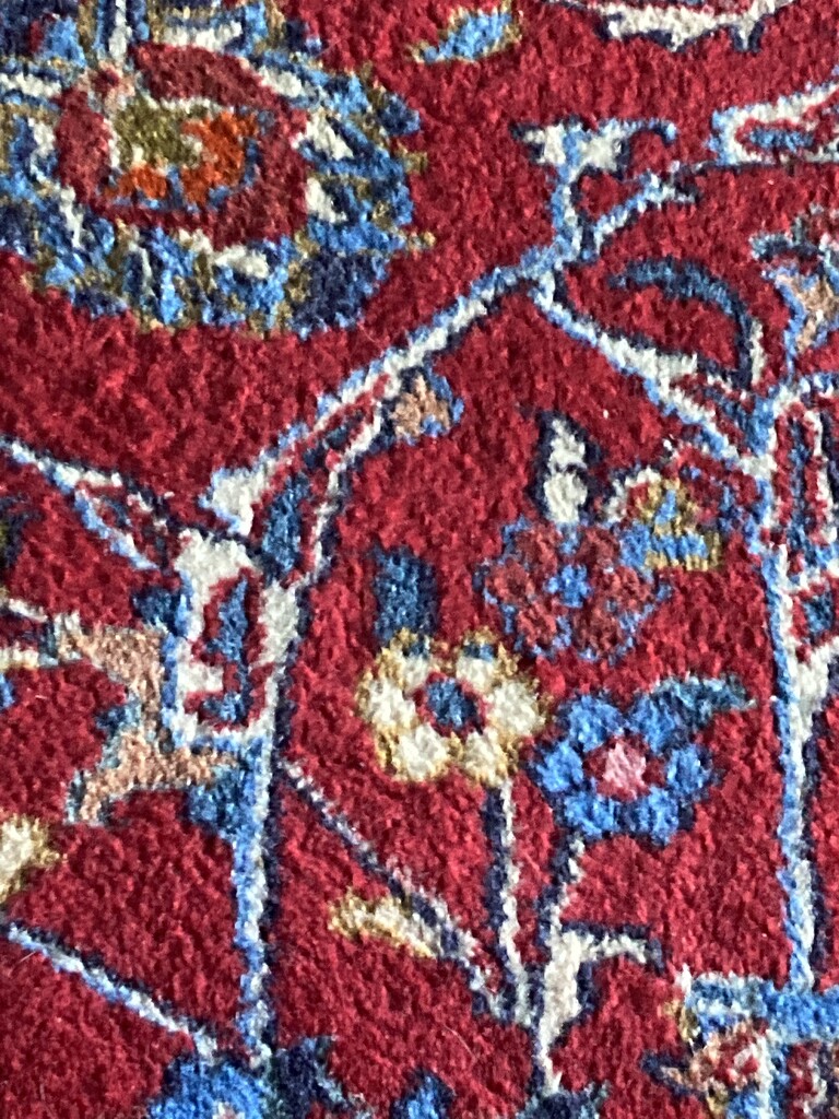 Carpet  by spanishliz