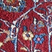 Carpet  by spanishliz