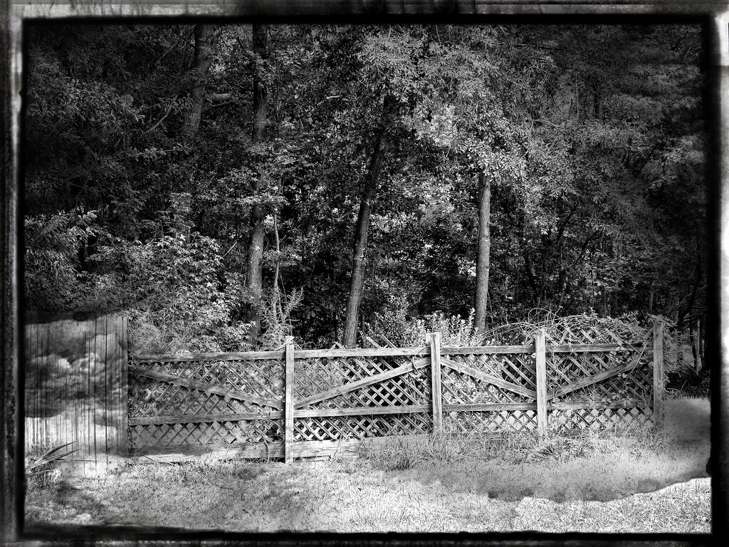 Broken fences... by marlboromaam