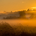 Foggy Sunrise  by cdcook48